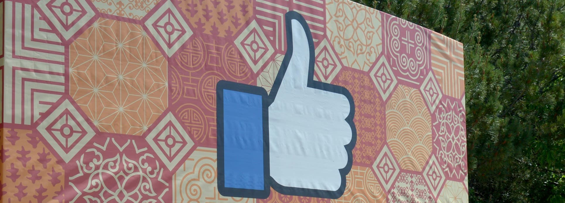 Social Media for Political Campaigns